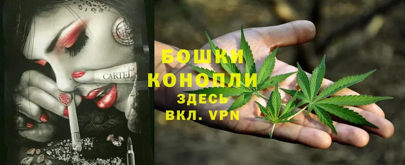 Каннабис SATIVA & INDICA  Ясногорск 